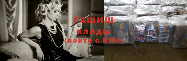 ECSTASY Бородино