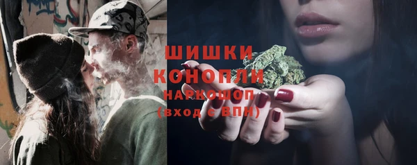 ECSTASY Бородино