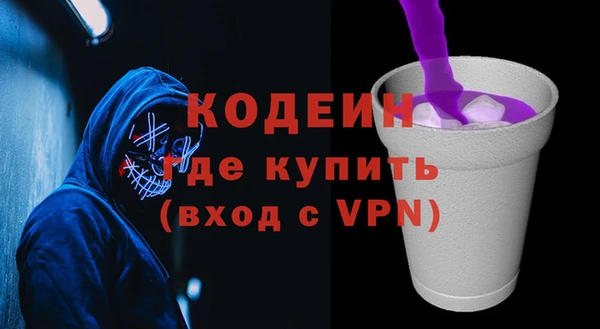 ECSTASY Бородино
