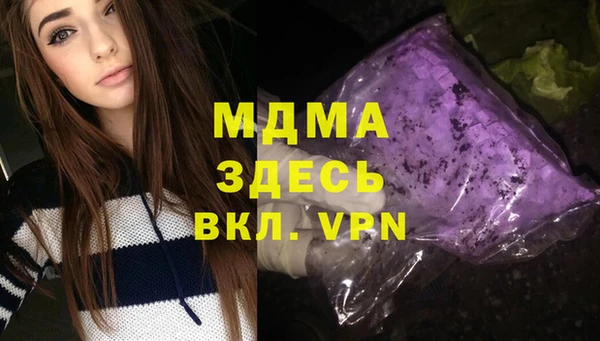 ECSTASY Бородино