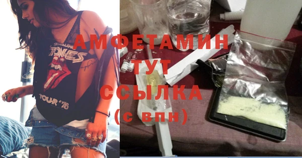 ECSTASY Бородино