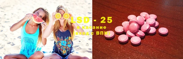 ECSTASY Бородино