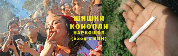 ECSTASY Бородино