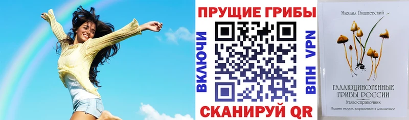 Галлюциногенные грибы MAGIC MUSHROOMS  где найти наркотики  Комсомольск 
